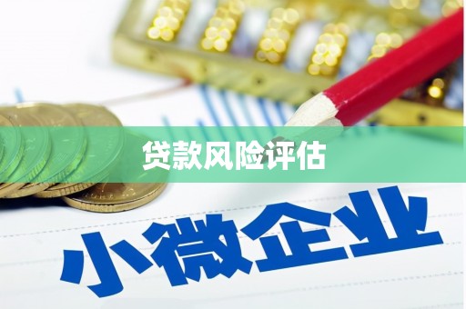 三河贷款风险评估