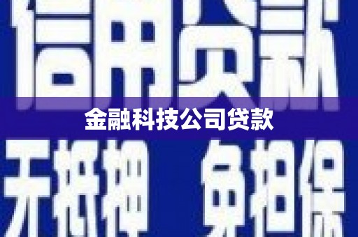 三河金融科技公司贷款