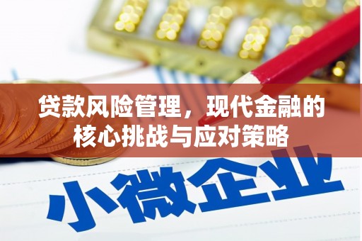三河贷款风险管理，现代金融的核心挑战与应对策略