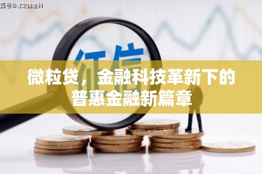 三河微粒贷，金融科技革新下的普惠金融新篇章
