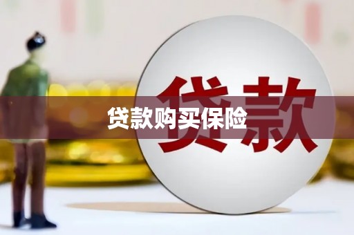 三河贷款购买保险