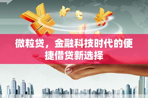 三河微粒贷，金融科技时代的便捷借贷新选择