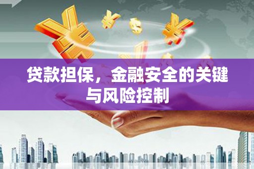 三河贷款担保，金融安全的关键与风险控制